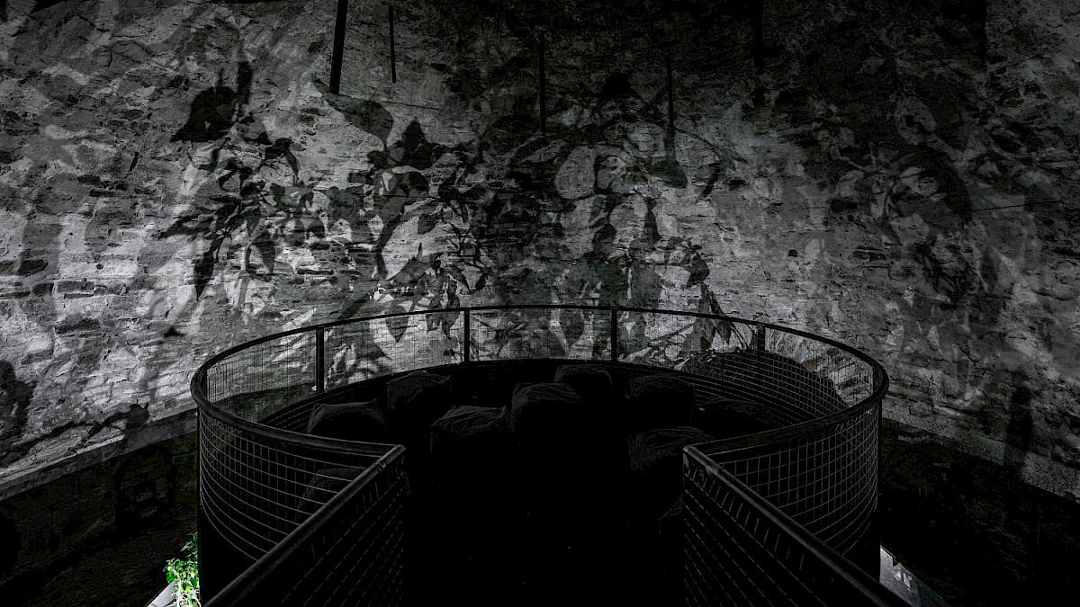 Nguyen Trinh Thi - And they die a natural death