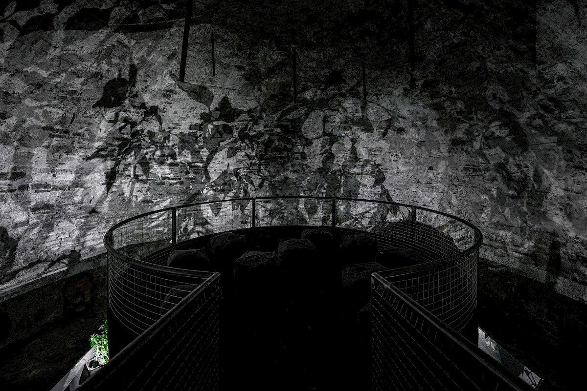 And they die a natural death (Nguyễn Trinh Thi,2022, documenta_15)