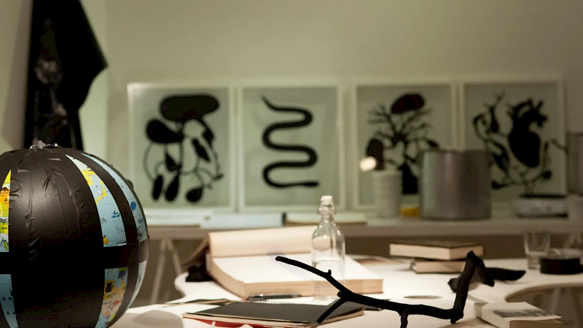 vue de la performance Deuxi&egrave;me Vie, Olivier Marboeuf (Espace Khiasma, 2012)