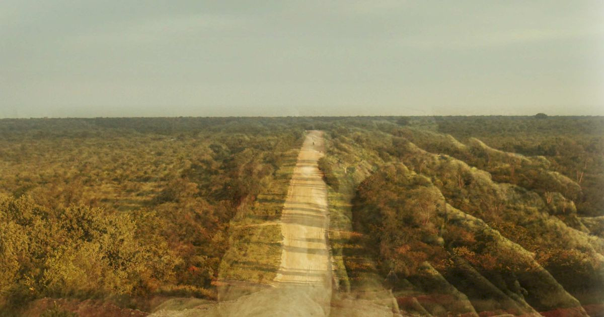 It's like a Finger Pointing a Way to the Moon