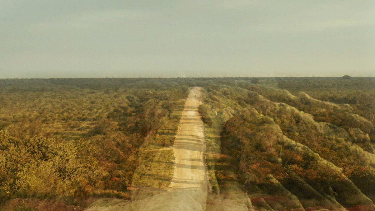 It's like a Finger Pointing a Way to the Moon