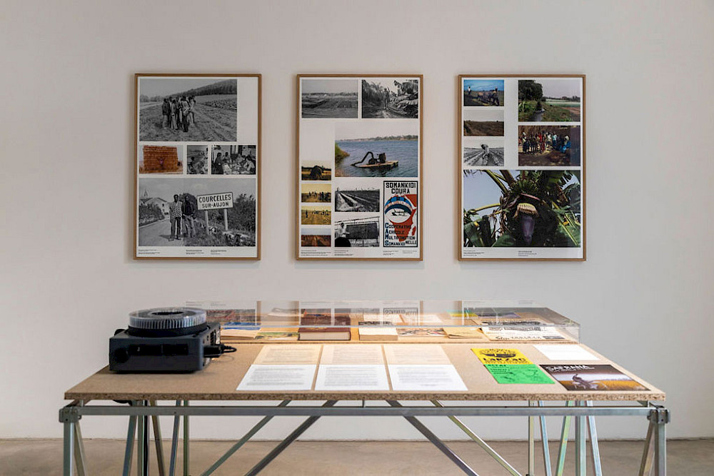 Raphael Grisey & Bouba Toure - Sowing Somankidi Coura (c) Selma Gurbuz