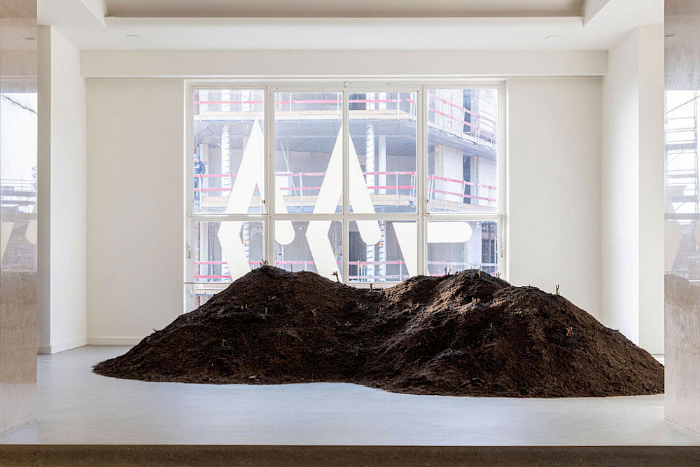 Fatma Bucak - Damascus Rose (c) Selma Gurbuz